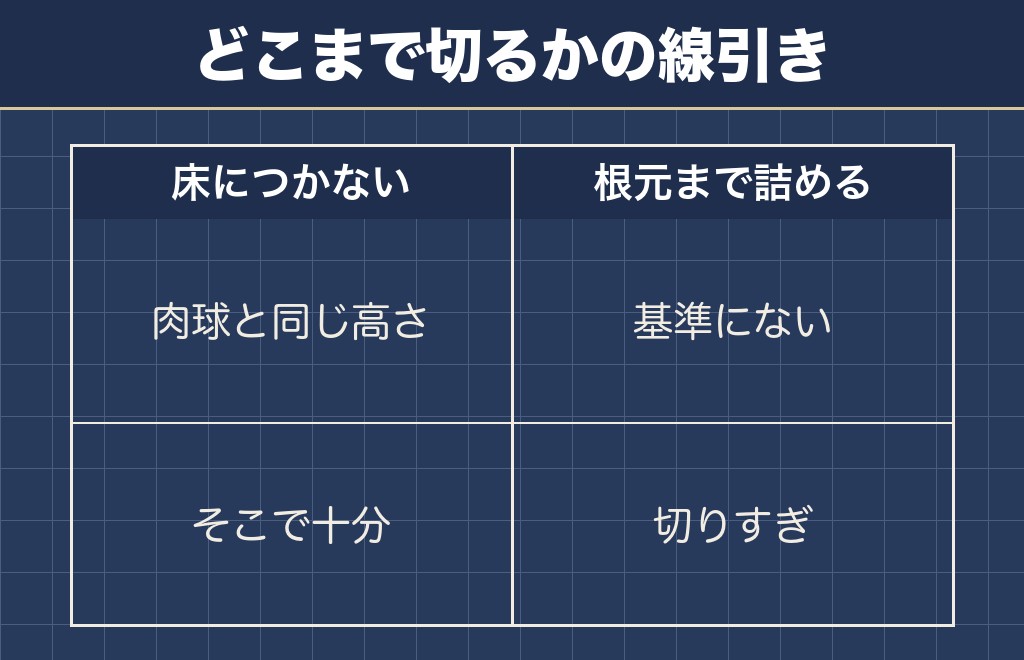 チワワの爪切りの頻度に関するQ&A