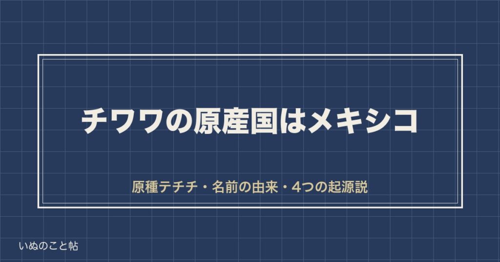 チワワの原産国はメキシコ｜原種テチチと名前の由来・歴史も