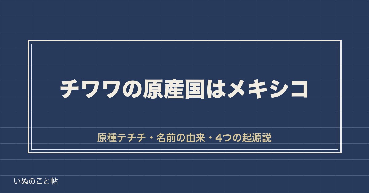 チワワの原産国はメキシコ｜原種テチチと名前の由来・歴史も