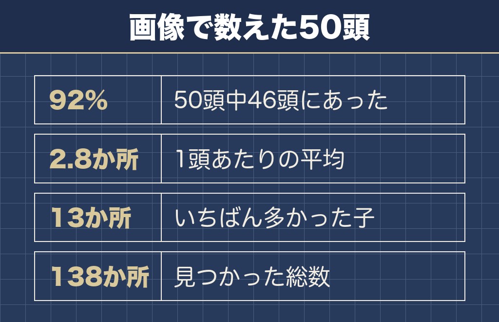 チワワにペコがある確率は50頭中46頭の92%だった
