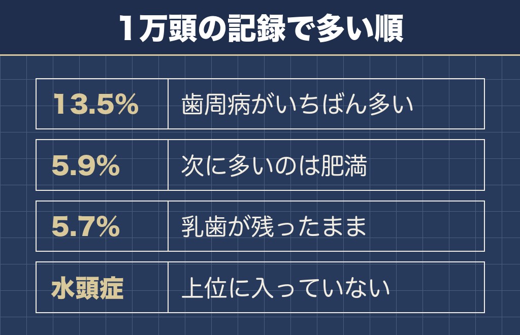 チワワが水頭症になる確率を示した数字は公表されていない