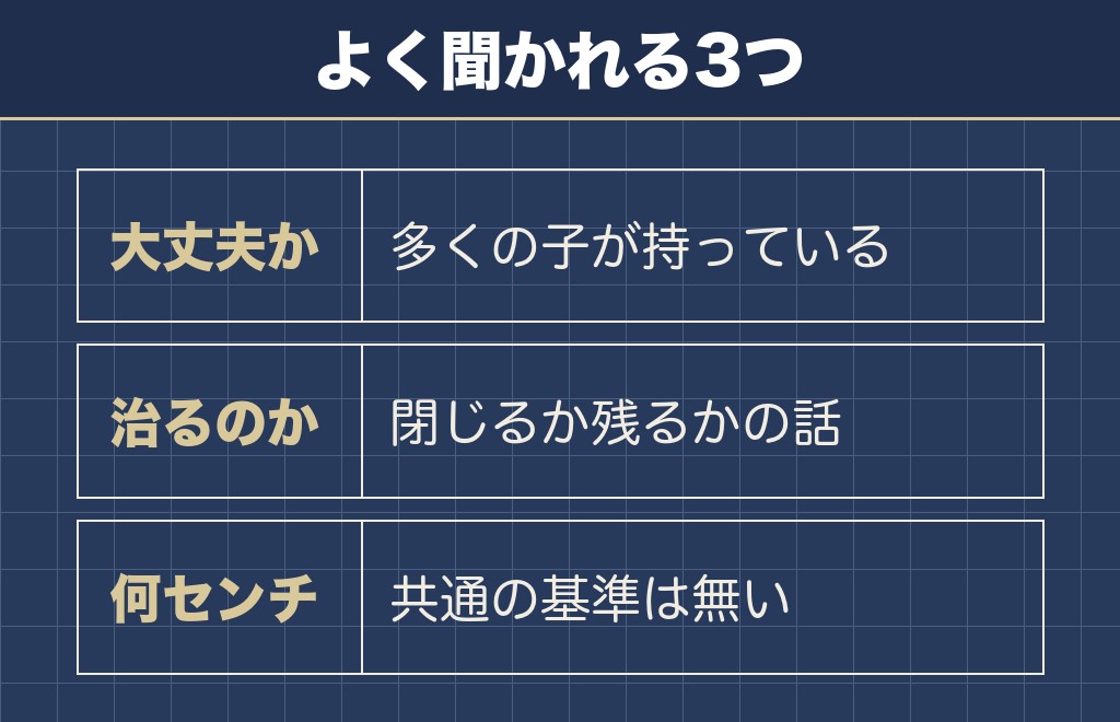 チワワのペコに関するQ&A