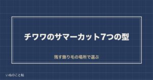 チワワのサマーカット画像を7つの型で比較｜たぬきとの違いも