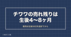 チワワの売れ残りは生後4〜8ヶ月｜販売価格と会える7つの場所