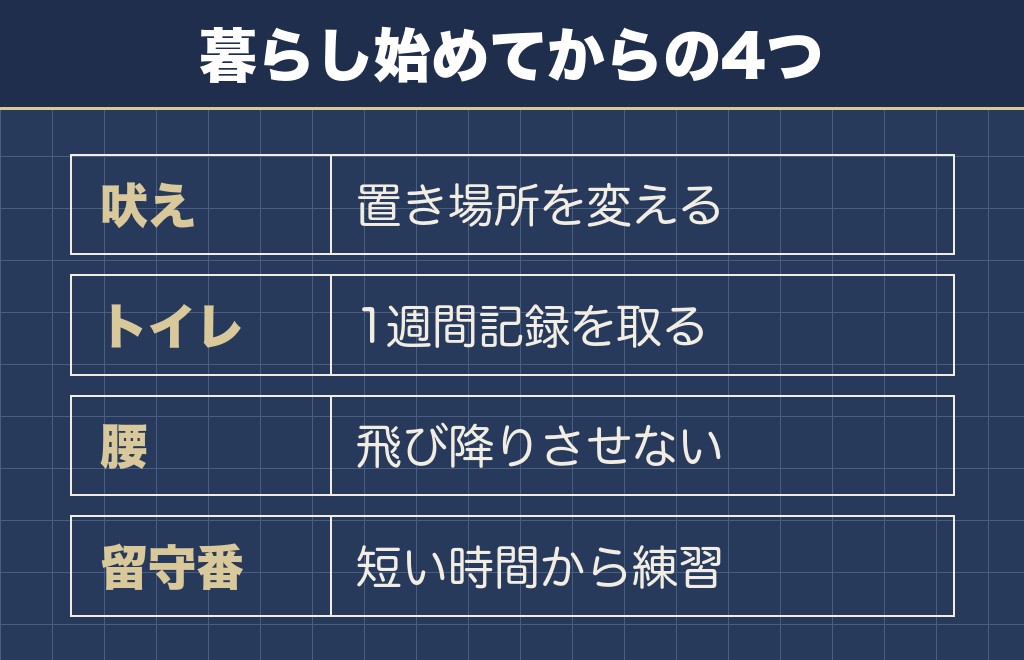 チワックスと暮らし始めてからのしつけと健康