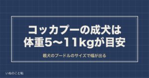 コッカプーの成犬の大きさは？体重と毛色の変化や寿命・値段も