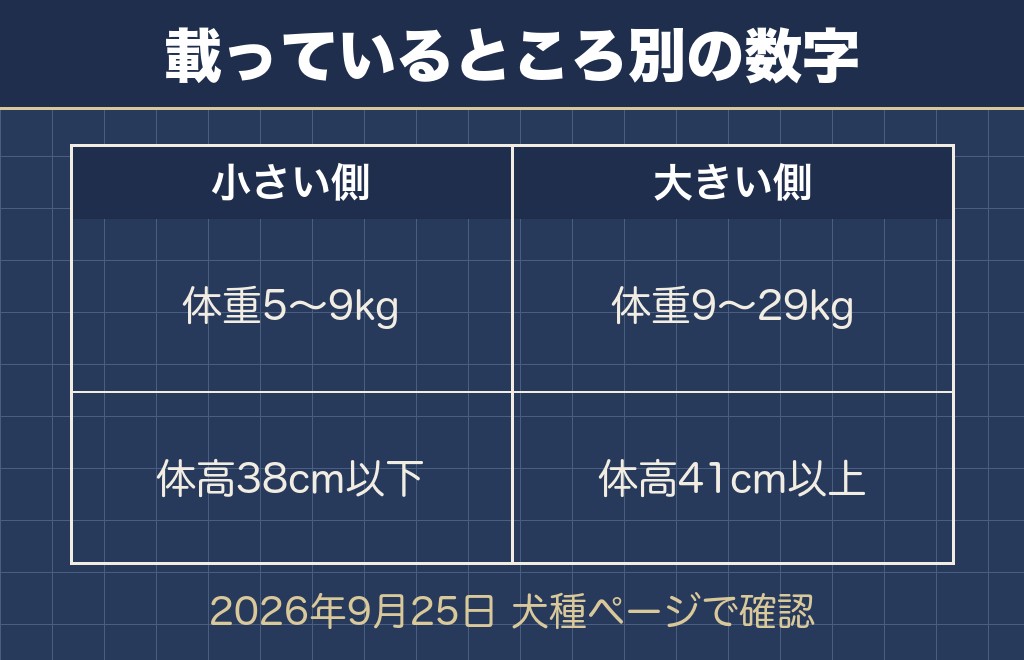 コッカプーの成犬の大きさは体重5〜11kgが目安