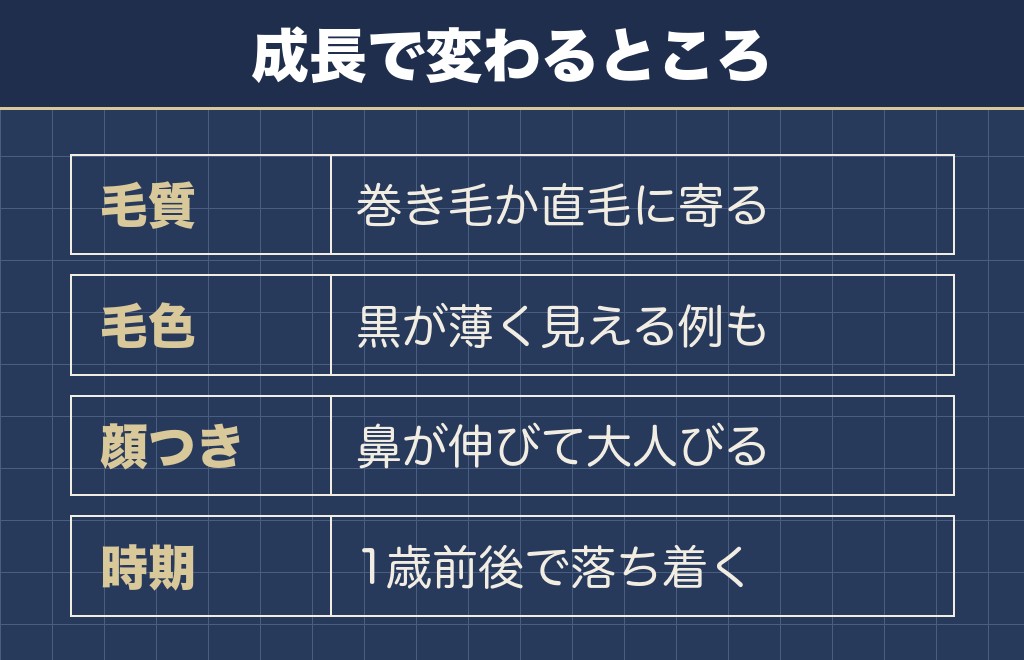 コッカプーの成犬は子犬のころから見た目が変わる