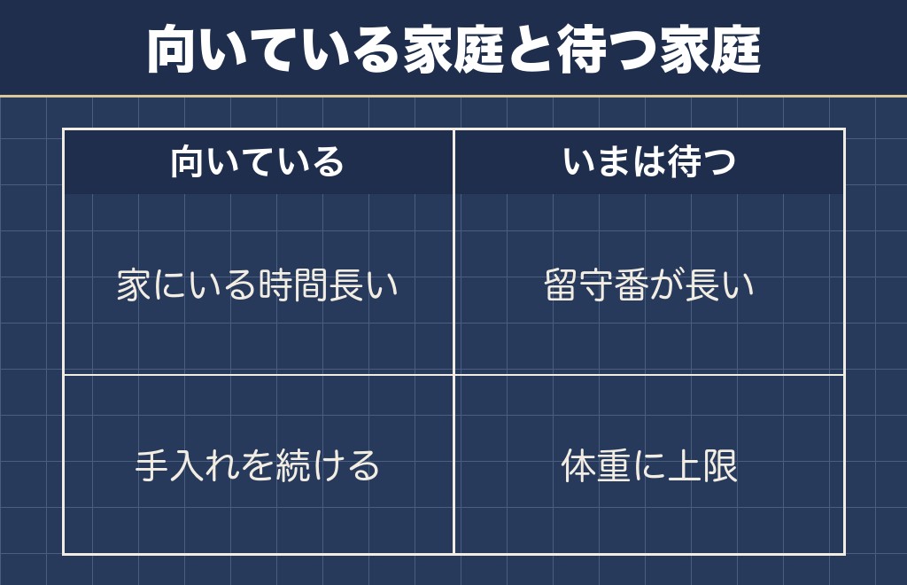 コッカプーの成犬の性格と飼いやすさの線引き