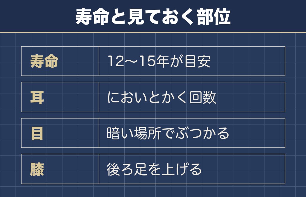 コッカプーの成犬の寿命と気をつけたい病気