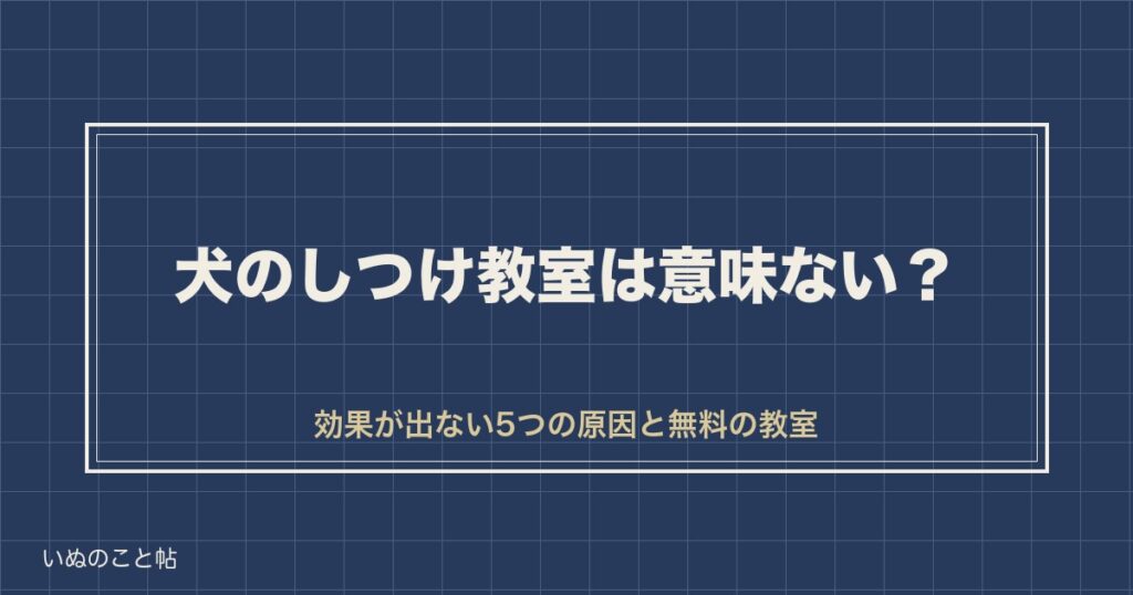 犬のしつけ教室は意味ない？効果が出ない5つの原因と無料の教室も