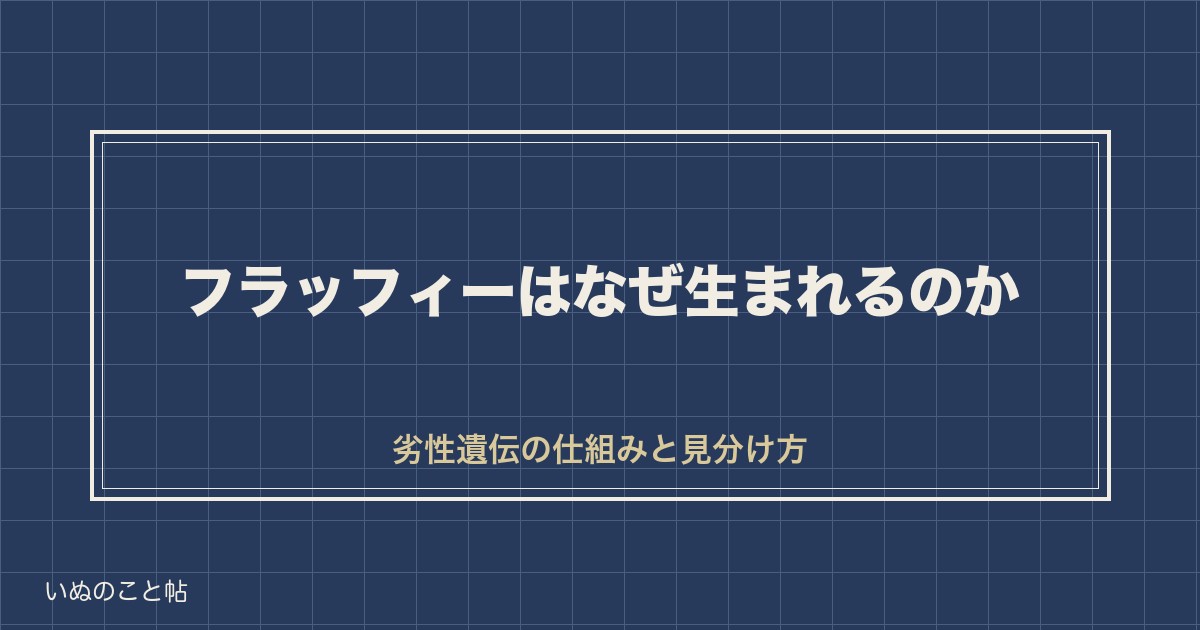 フラッフィーフレンチブルドッグはなぜ生まれる？値段や見分け方も