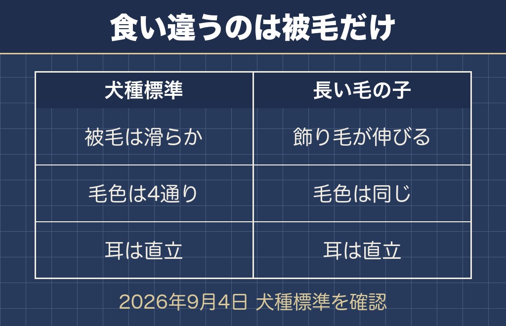 犬種標準とフラッフィーの見た目を1項目ずつ照らし合わせました
