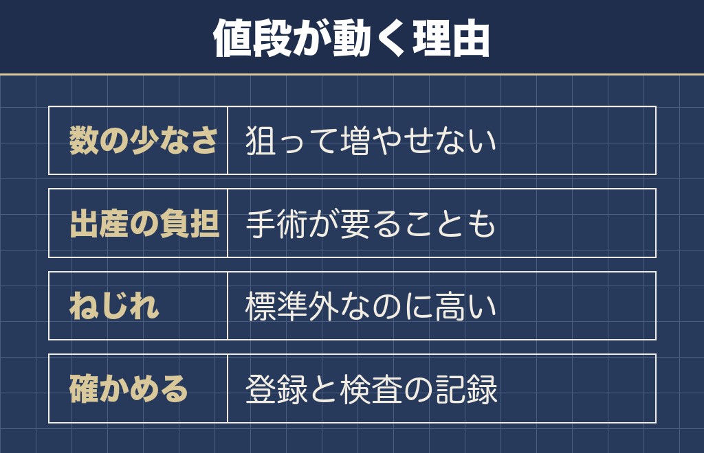 フラッフィーフレンチブルドッグの値段が高いのはなぜかを分けて考えます