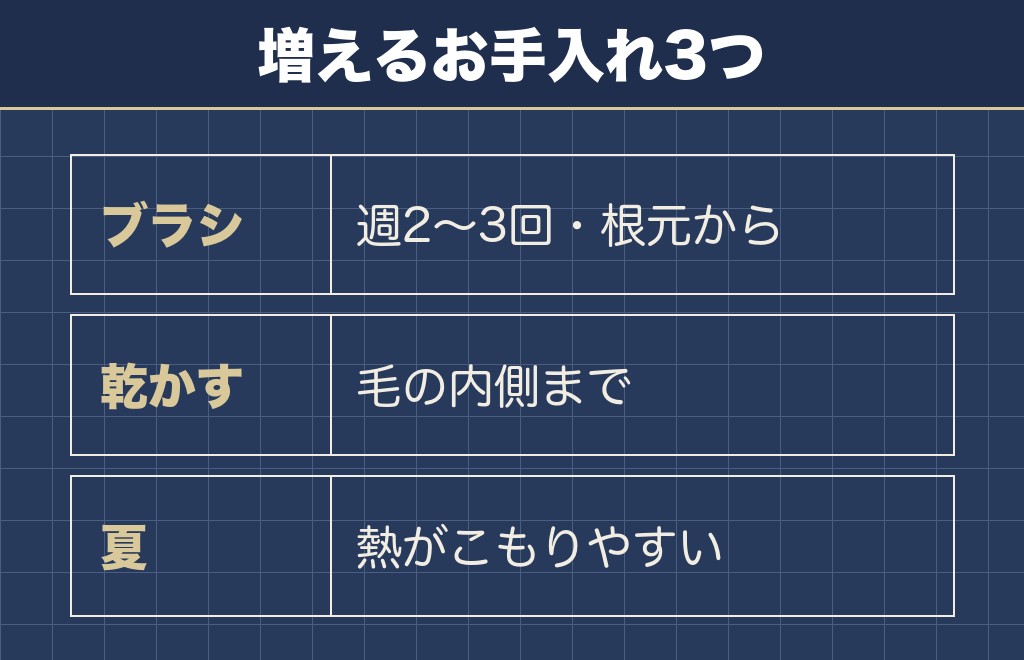 長毛のフレンチブルドッグに増えるお手入れは3つです