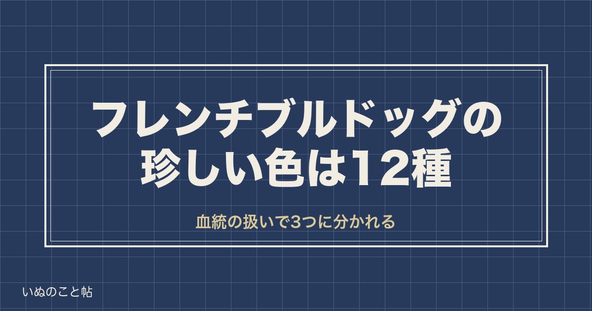 フレンチブルドッグの珍しい色12種|値段や血統書の扱いも