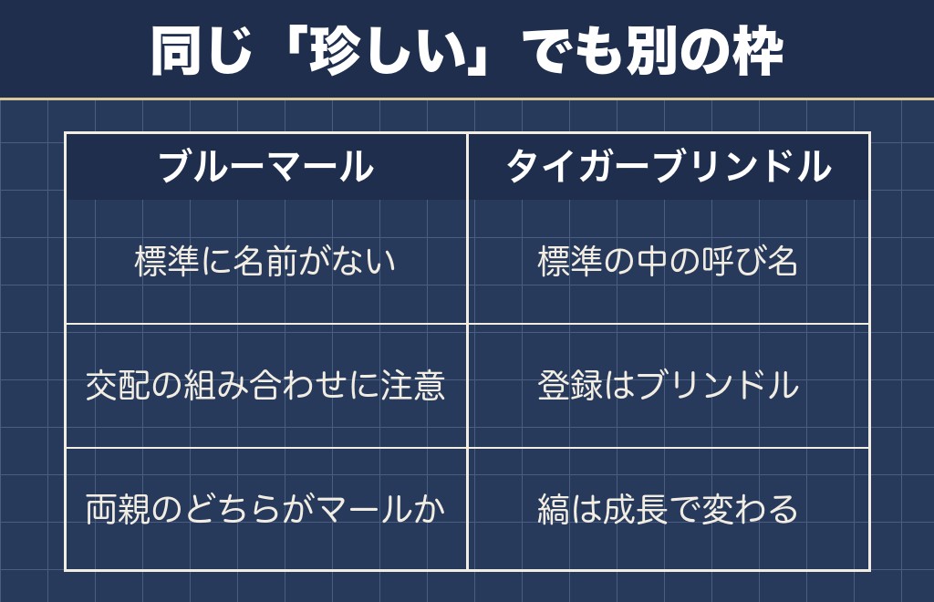 珍しい色のブルーマールとタイガーブリンドルは中身が違う