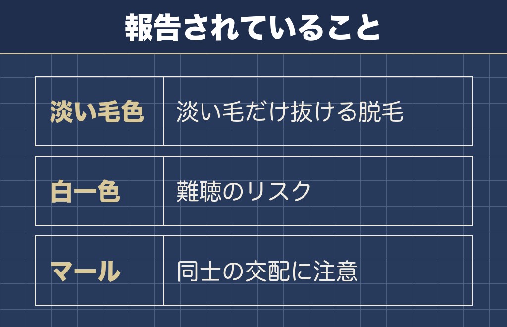 珍しい色のフレンチブルドッグで知っておきたい健康の話
