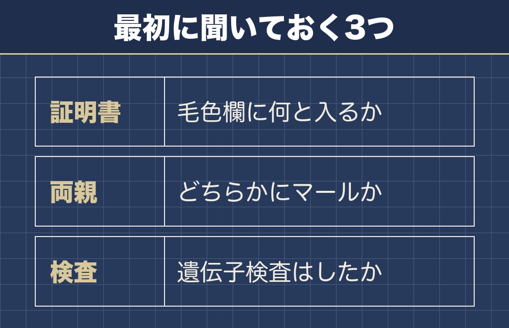 珍しい色のフレンチブルドッグを迎える前に確かめること