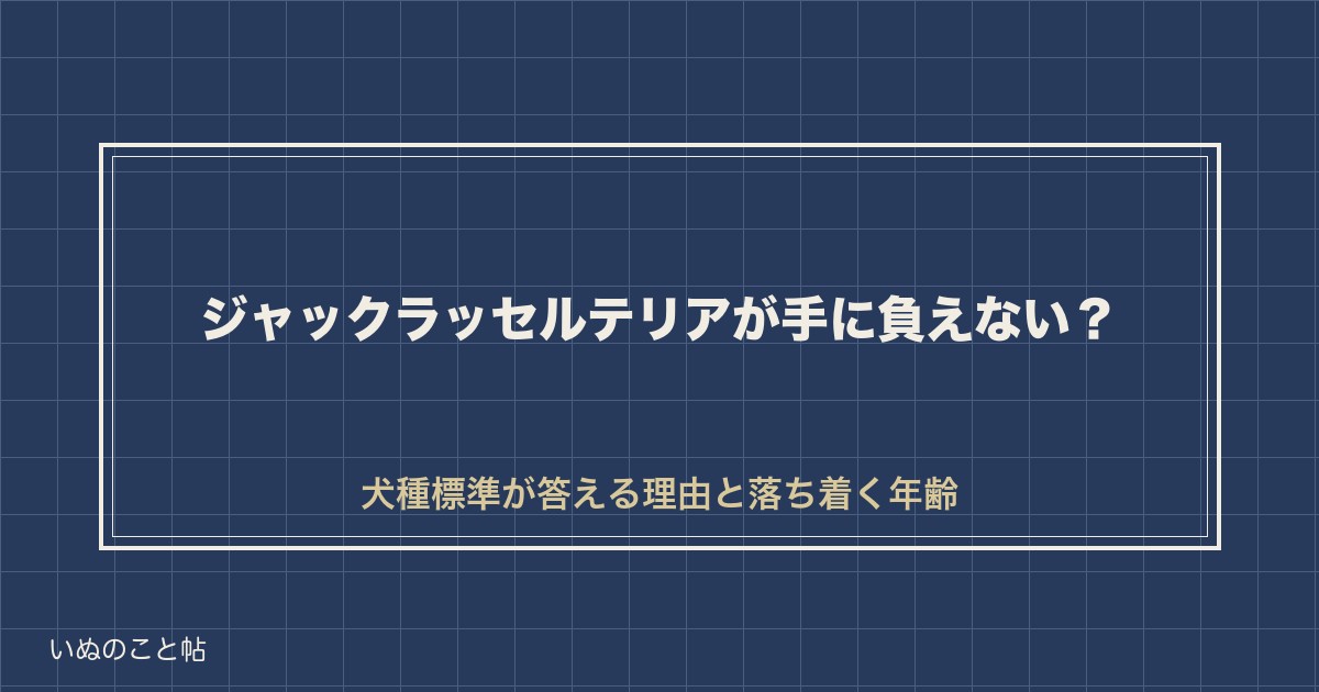 ジャックラッセルテリアが手に負えないのはなぜ？落ち着く年齢も