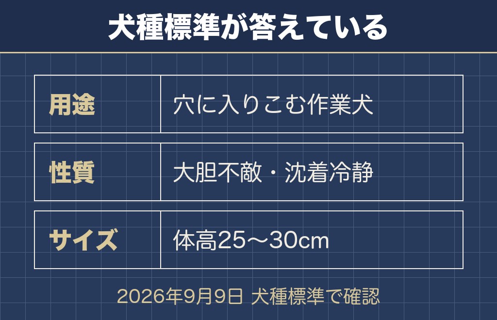 ジャックラッセルテリアが手に負えない理由は公式の犬種標準に書かれている