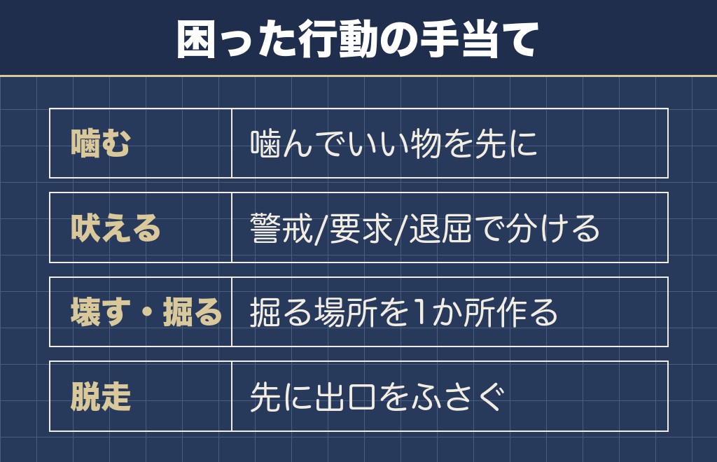 ジャックラッセルテリアの噛む・吠える・壊すは原因ごとに手を変える