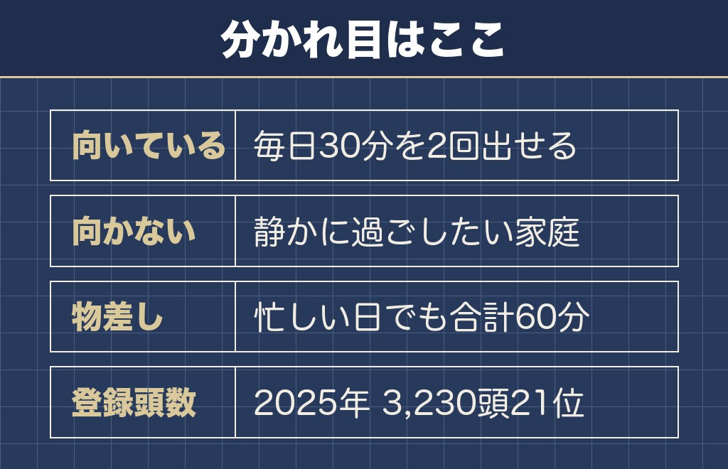 ジャックラッセルテリアが向いている家庭と正直に向かない家庭