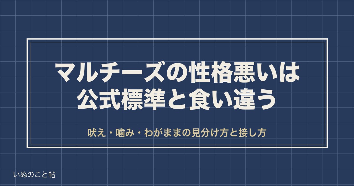 【うちの子は性格が悪いの？】マルチーズの性格悪いは公式標準と食い違う｜見分け方と接し方