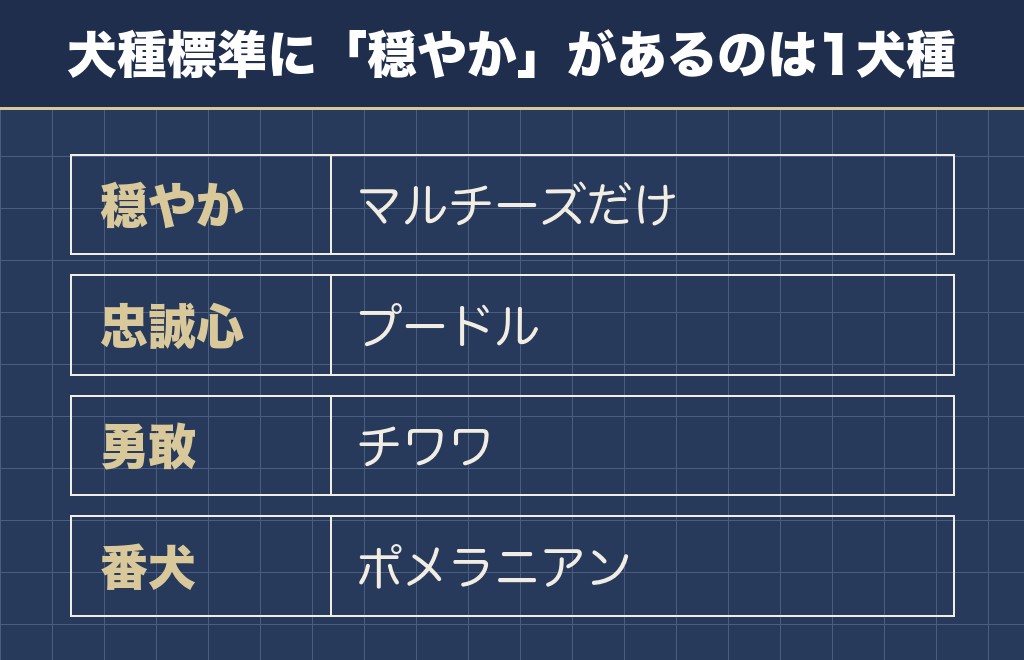 マルチーズが性格悪いというのは公式の犬種標準と食い違う