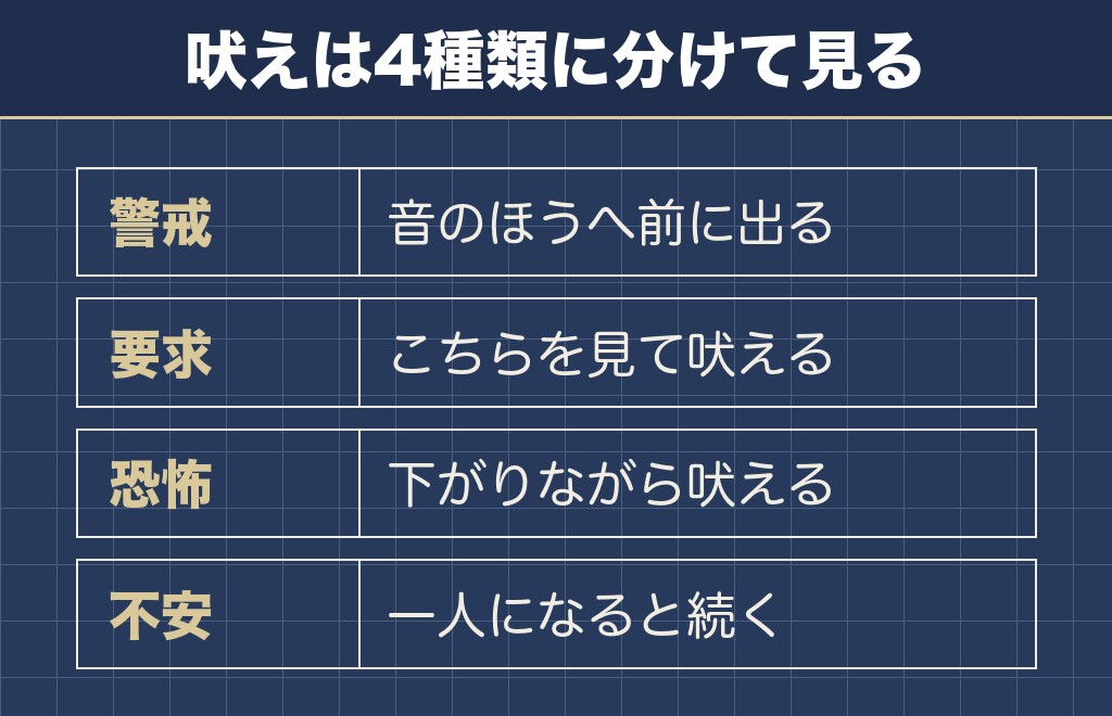 マルチーズの性格悪いに見える行動は吠え・噛み・わがままに分けて見る