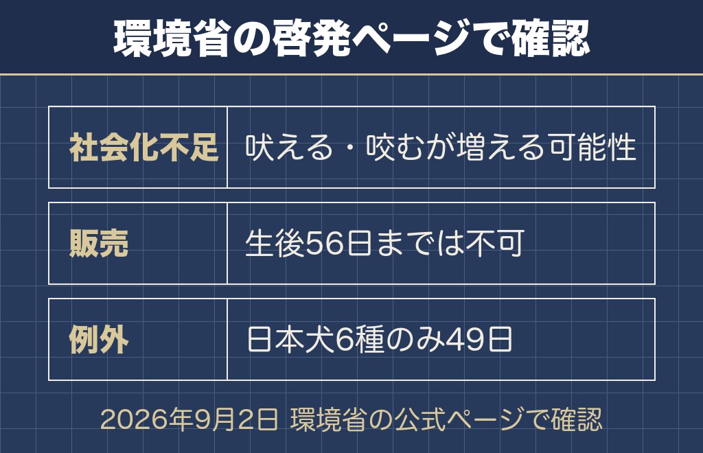 マルチーズの性格悪いは社会化の問題として国も説明している