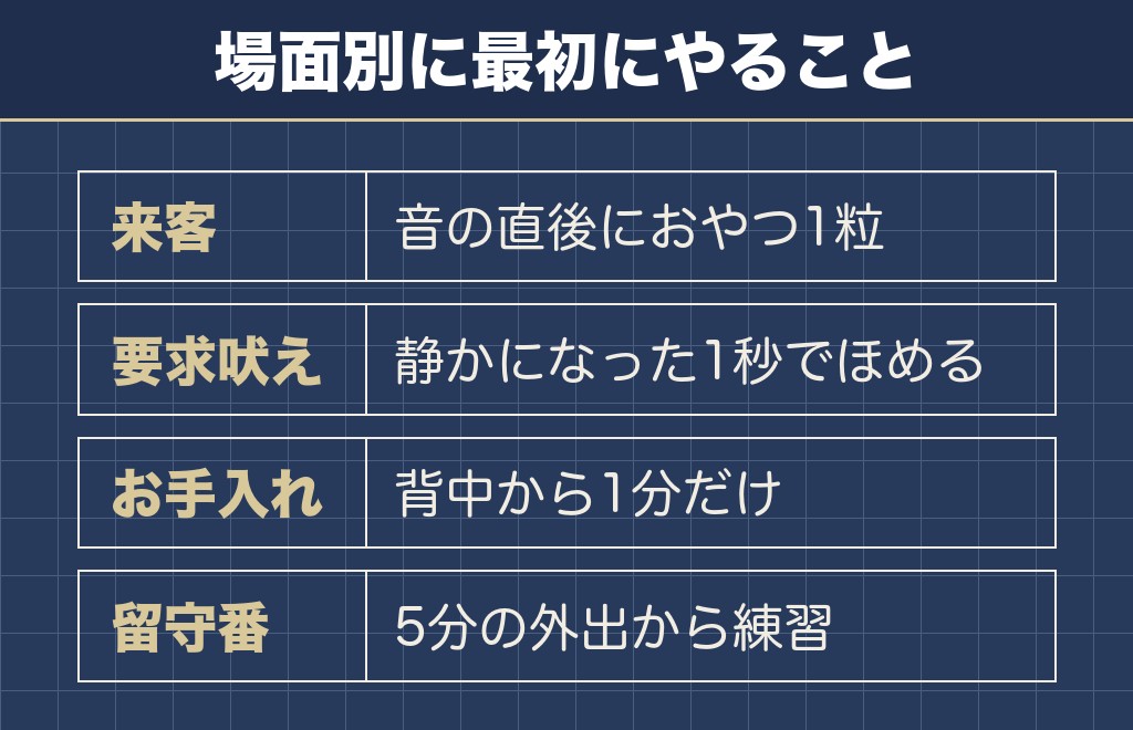 マルチーズの性格悪いに見える行動への場面別の接し方