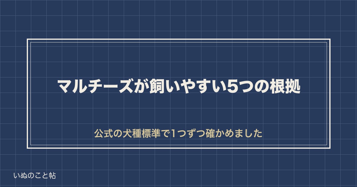 【毎日のお手入れが分かれ目】マルチーズが飼いやすいといわれる5つの根拠と、正直に向かない家庭