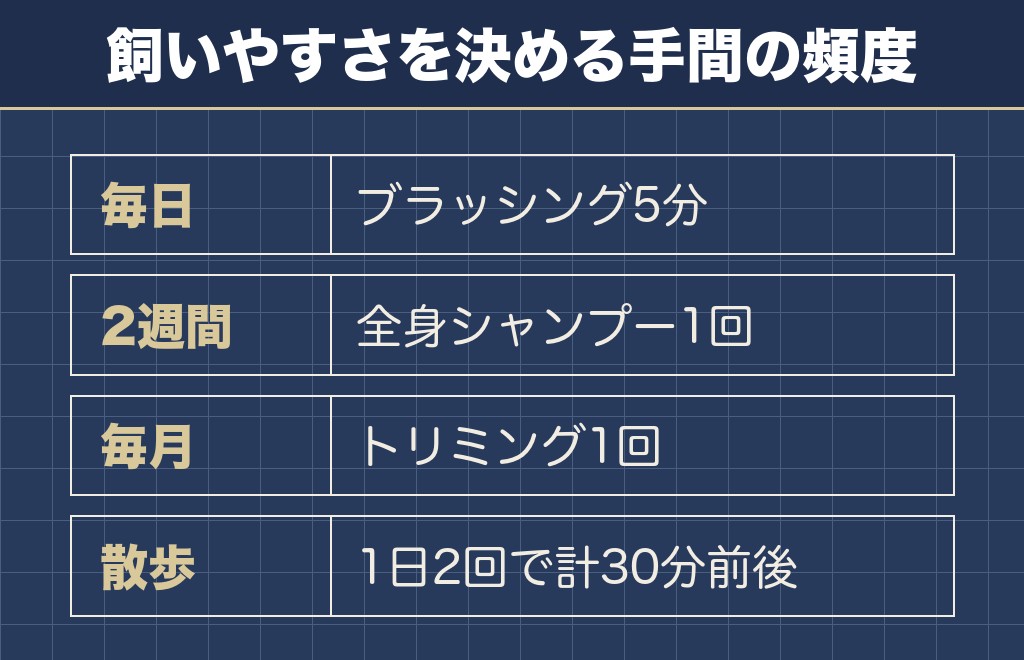 マルチーズが飼いやすいかどうかはお手入れを続けられるかで決まります
