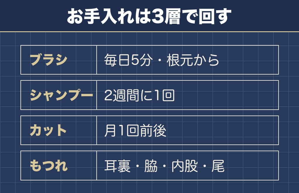 マルチーズのお手入れは毎日5分と月1回のトリミングが基本です