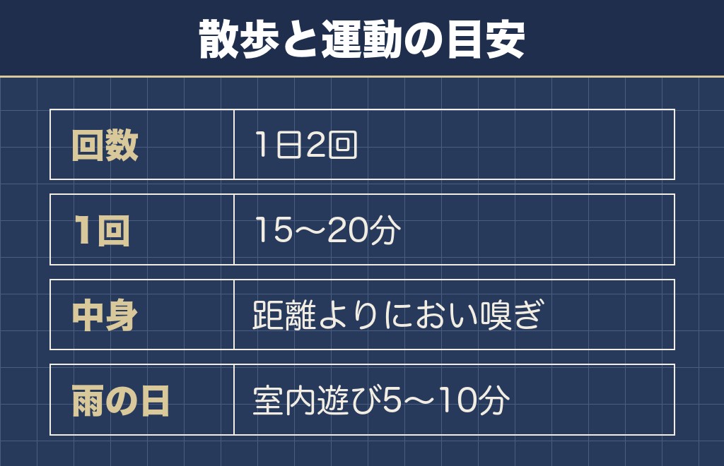マルチーズの散歩は1日2回で合計30分前後が目安です