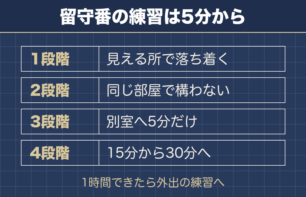 マルチーズの留守番は短い時間から練習して伸ばします