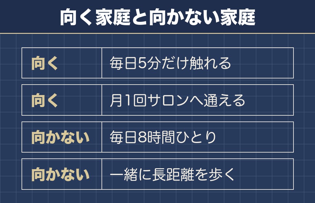マルチーズが飼いやすい家庭と、正直に向かない家庭