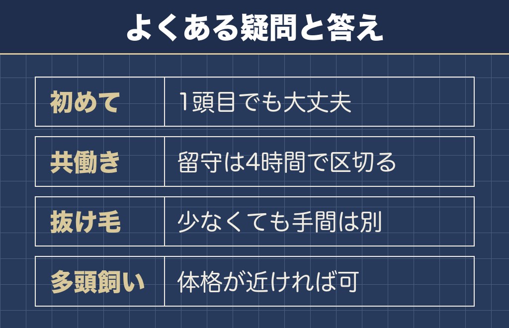 マルチーズの飼いやすさに関するQ&A