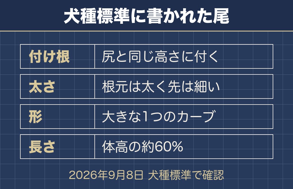 マルチーズのしっぽは大きな1つのカーブが基準です