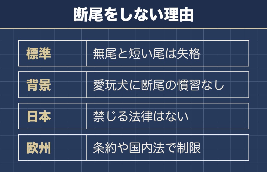 マルチーズのしっぽに断尾はしません