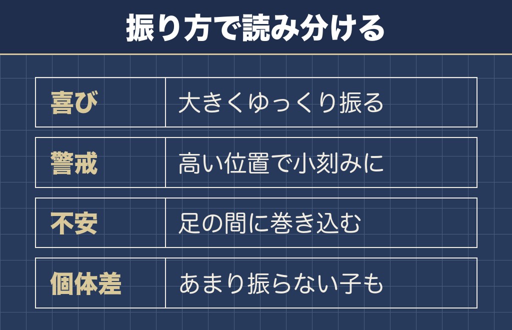マルチーズのしっぽの振り方から気持ちを読み分ける4つの見方