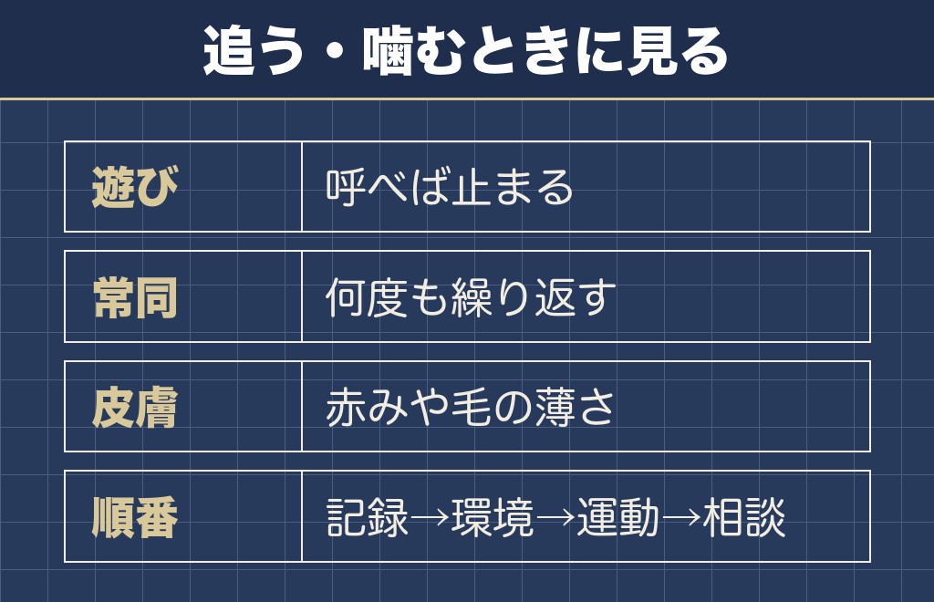 マルチーズがしっぽを追いかける・噛むときに見るところ
