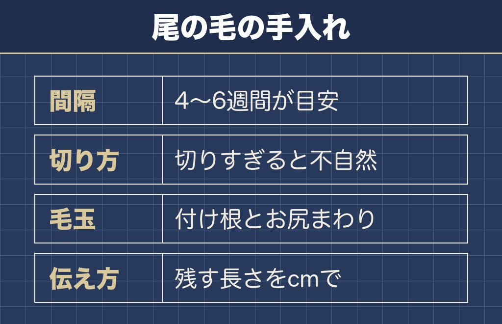 マルチーズのしっぽの毛はカットの長さで扱いが変わります