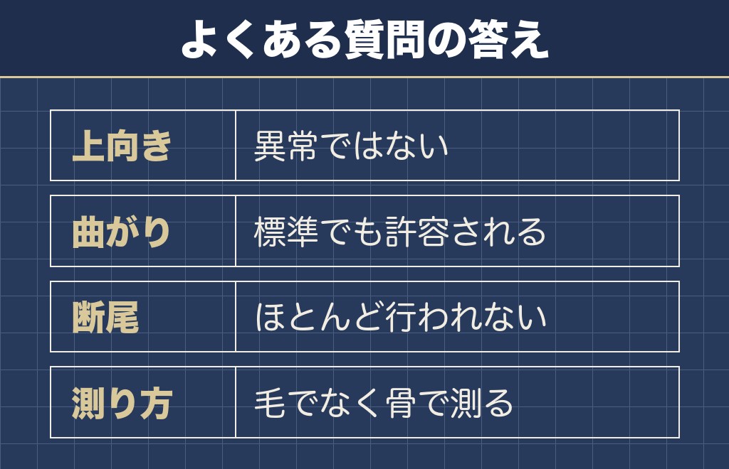 マルチーズのしっぽに関するQ&A