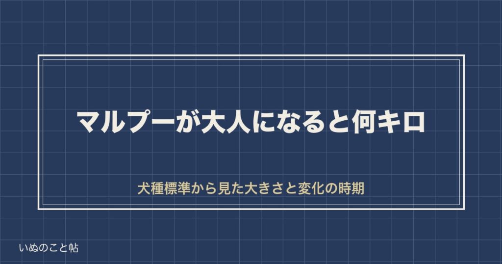 マルプーが大人になると何キロ？見た目や性格の変化の時期も