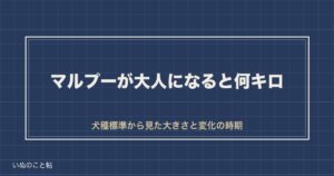 マルプーが大人になると何キロ？見た目や性格の変化の時期も