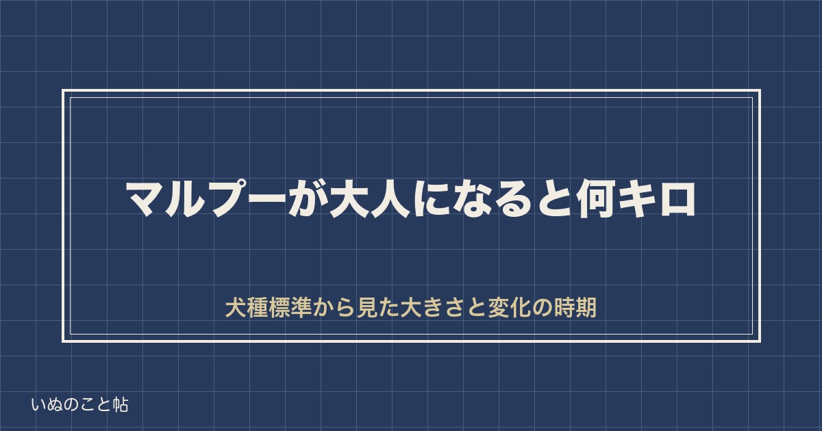 マルプーが大人になると何キロ？見た目や性格の変化の時期も