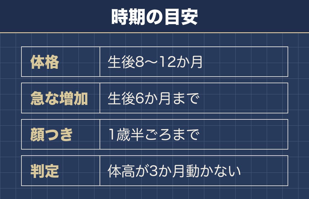 マルプーが大人になる時期は生後8〜12か月が目安