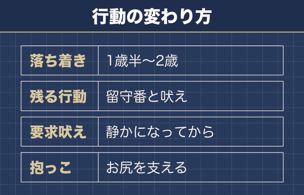 大人のマルプーは性格が落ち着く方向へ変わる